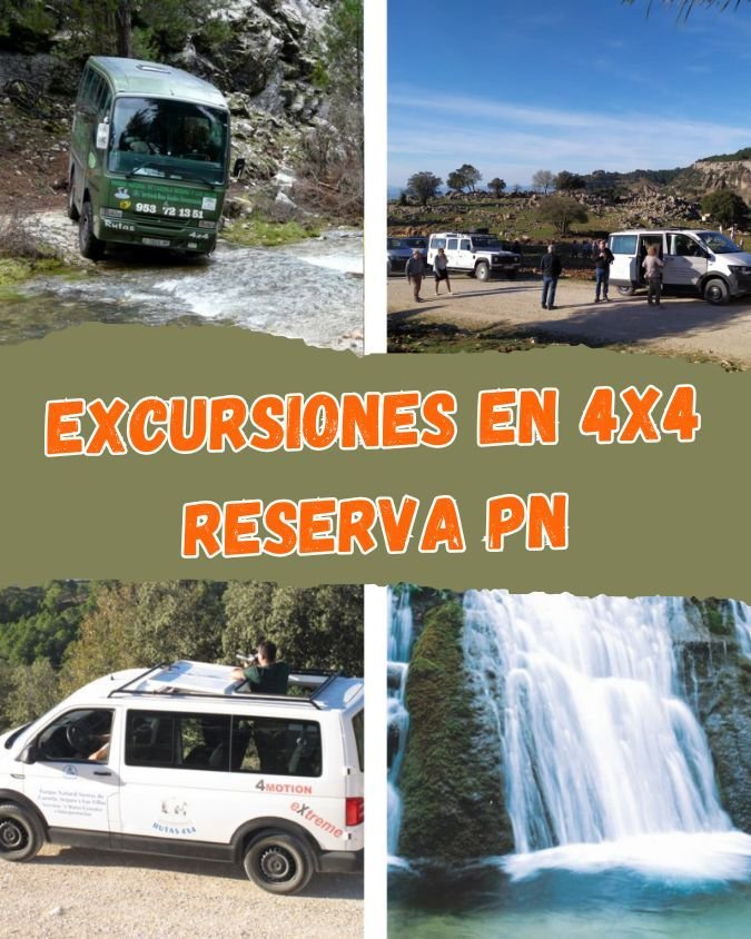 Excursiones en 4x4 por la Sierra de Cazorla y Segura con salida junto a Coto Ríos